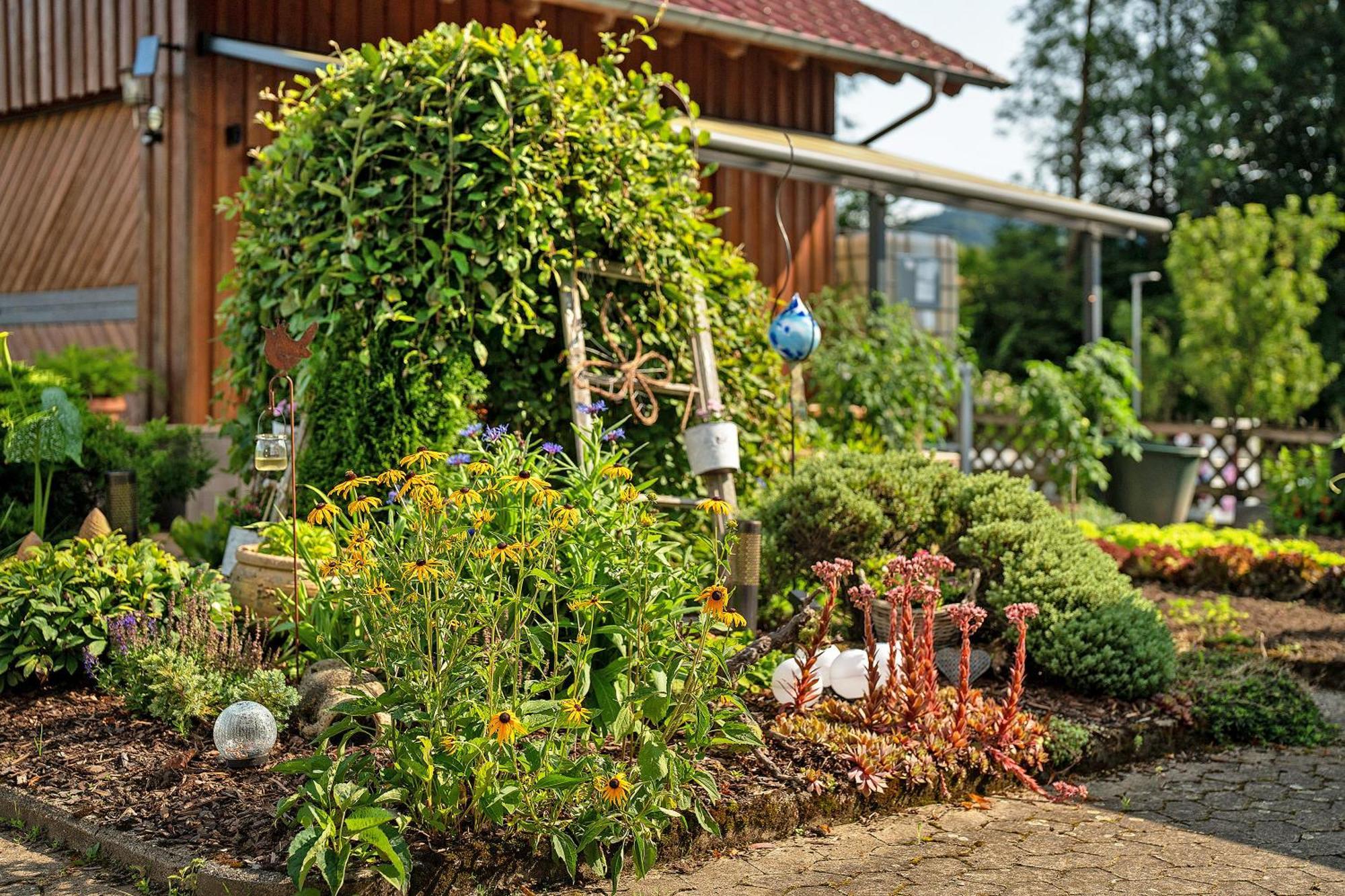 Ferienwohnung Lydia Zell am Harmersbach Ngoại thất bức ảnh